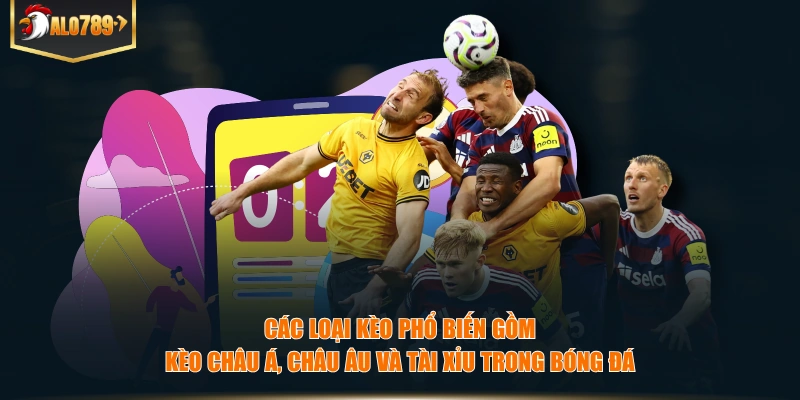 Các loại kèo phổ biến gồm kèo châu Á, châu Âu và tài xỉu trong bóng đá.