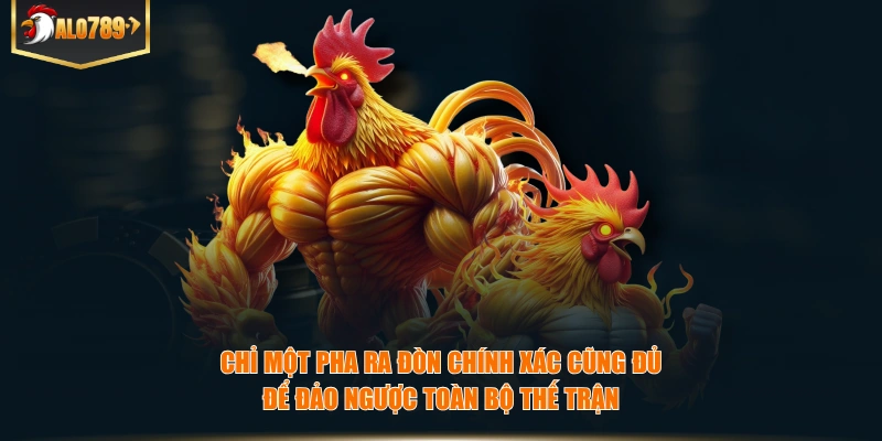 Đá Gà Cựa Dao – Cuộc Đối Đầu Nhanh, Gọn Và Đầy Kịch Tính Chỉ một pha ra đòn chính xác cũng đủ để đảo ngược toàn bộ thế trận