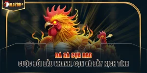 Đá gà cựa dao