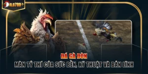 Đá gà đòn