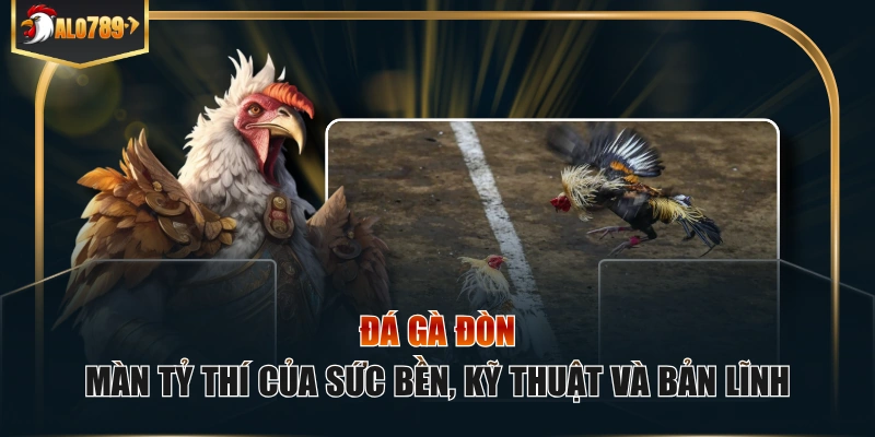 Đá gà đòn