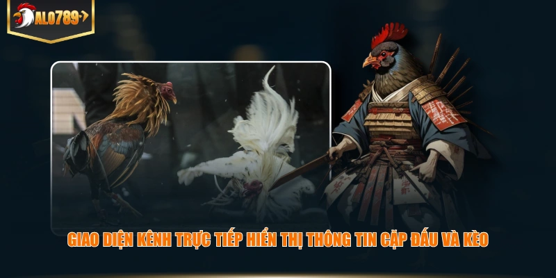 Giao diện kênh trực tiếp hiển thị thông tin cặp đấu và kèo