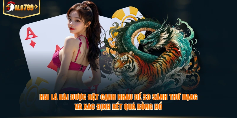 Hai lá bài được đặt cạnh nhau để so sánh thứ hạng và xác định kết quả Rồng Hổ.