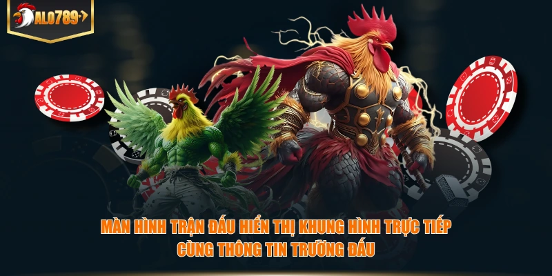 Màn hình trận đấu hiển thị khung hình trực tiếp cùng thông tin trường đấu