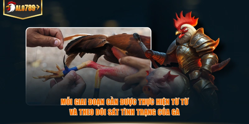 Mỗi giai đoạn cần được thực hiện từ từ và theo dõi sát tình trạng của gà
