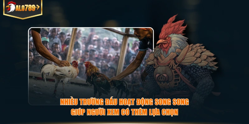 Nhiều trường đấu hoạt động song song giúp người xem có thêm lựa chọn