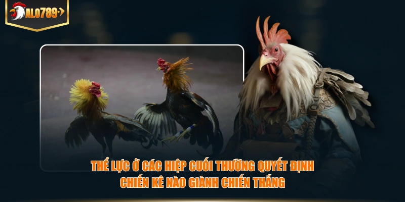 Thể lực ở các hiệp cuối thường quyết định chiến kê nào giành chiến thắng