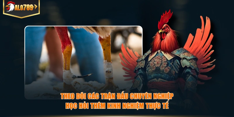 Theo dõi các trận đấu chuyên nghiệp học hỏi thêm kinh nghiệm thực tế
