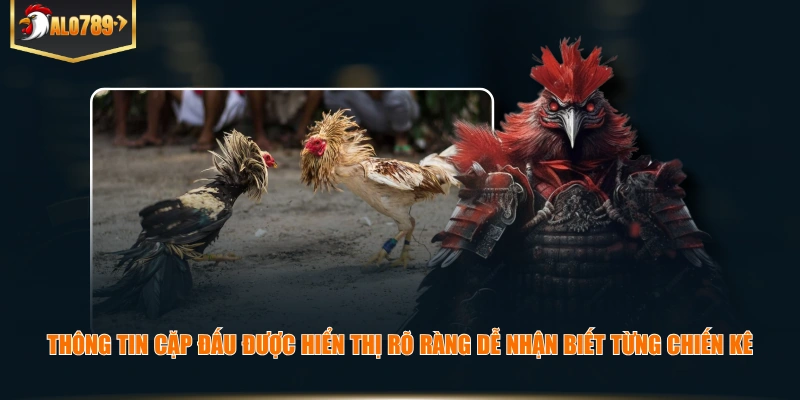 Thông tin cặp đấu được hiển thị rõ ràng dễ nhận biết từng chiến kê
