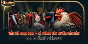 Vần gà chọi non